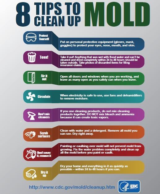 8 Tips to Clean Up Mold